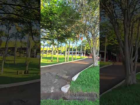 A Prainha de Cruzeiro do Iguaçu, no Distrito de Foz do Chopim, 🌊🌳🚤🏖👨‍👩‍👧‍👦 #shorts