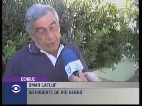 Dengue en Fray Bentos