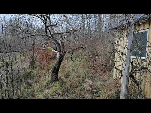 DET LILLA GULA HUSET precis vid JÄRNVÄGEN - 211125 - Blekinge - Huawei P40 PRO