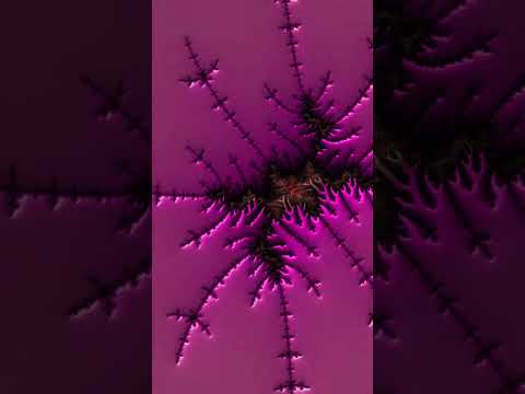 Infinite Zoom into the Beautiful Fractal ✨🌀 #Fractal #Mandelbrot #Zoom