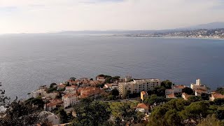 Promenade in the urban-forest at South France, Nice. My favorite healing place.