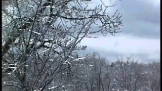 WETM Weather promo