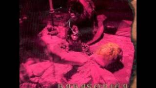 Babasonicos Delnitro (Babasonica)