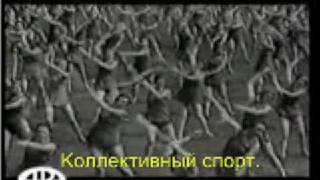 Evergreen Terrance - Dogfight