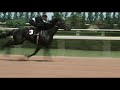 Something Wrong With Mystery Horse The Black Stallion Kelly Reno