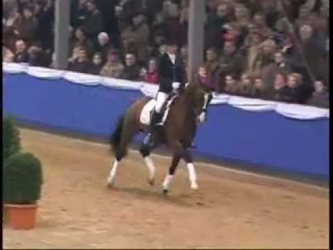 Gut Neuenhof Estobar NRW Hengstschau Gahlen Januar 2008