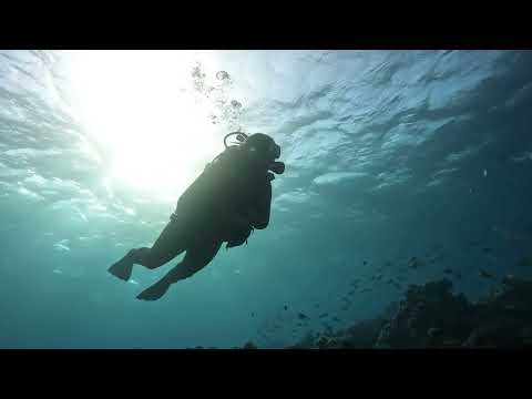 Egypt Liveaboard december 2021, Red Sea Aggressor 2