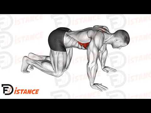 Exercice Pompes scapulaires à genoux