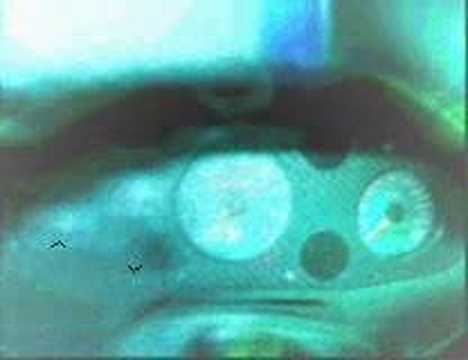 timo di roy - don't stop