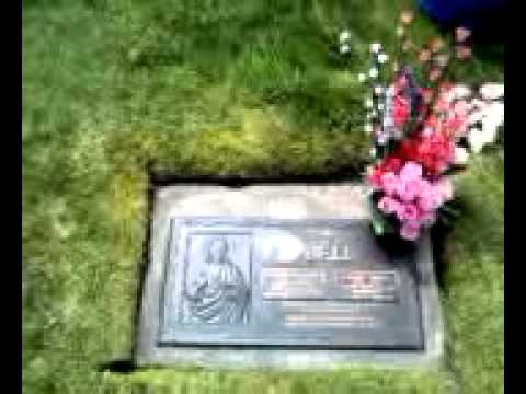 Kevin bell.tas.hobart.7009