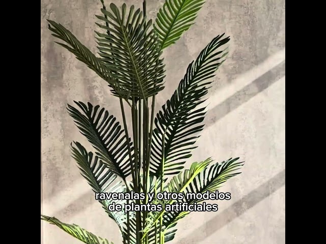 Vídeo relacionado con Keeplush Árbol de palma artificial de 200 cm de altura, planta falsa para interiores con 18 troncos y diseño de corteza real, planta tropical falsa Areca de seda para piso en maceta para decoración
