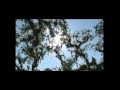 Moondog - Trees Against the Sky