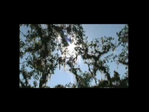 Moondog - Trees Against the Sky