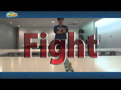 ビーダマン新時代！マスターホリカワの新たなる伝説！