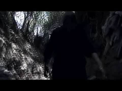 Hello Seahorse! - Bestia (Video Oficial)