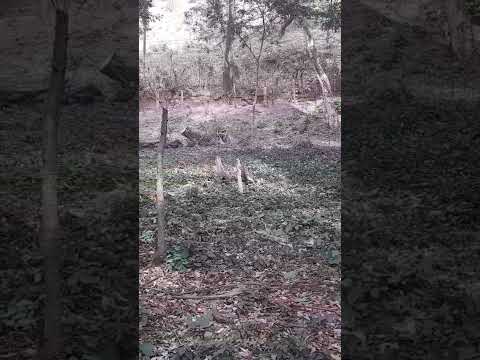 Se Vende Amplio Terreno - Precio Negociable!