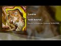 Xavier Boscher - Lumina