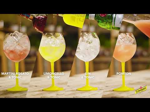 Schweppes Indian Tonic NL