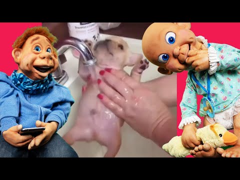 TOP 50 NEJROZTOMILEJŠÍCH PEJSKŮ - Matýsek kouká na TikTok