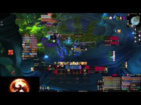 Method vs Desolate Host - Kuriisu Holy Paladin PoV