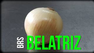 Miniatura do vídeo