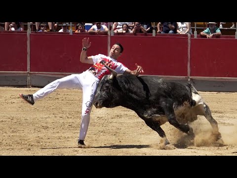 Concurso con TOROS BRAVOS San Fernando de Henares 2022