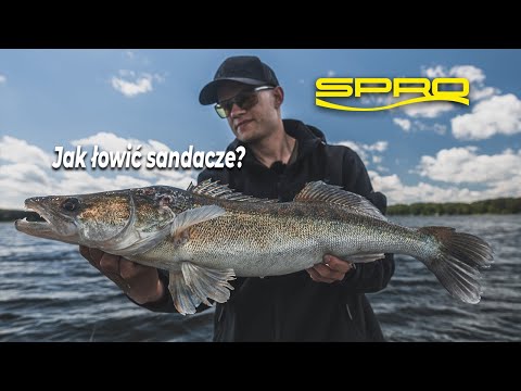 Great Zander Season Opening - How to Fish For Zander