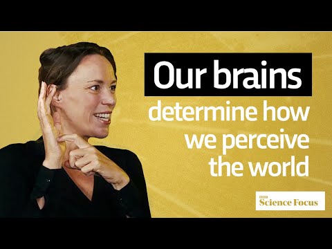 How Neuroscience is Reshaping Our Understanding of Free Will | Dr Hannah Critchlow | Instant Genius