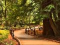 show me the way to your heart_0001.wmv
