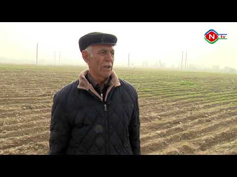 Günün tələbi 18.12.2020