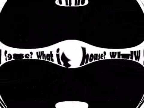 David Penn & Robert Gaez - What is house? (Dj Level K remix)