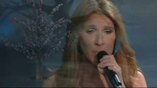 Céline Dion - If I Could (Live in Las Vegas)