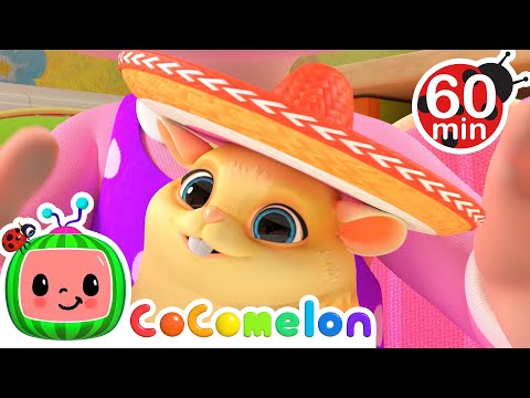 Class Pet Sleepover 1 HOUR COMPILATION | Animal Time | CoComelon Nursery Rhymes & Kids Songs