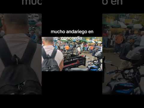 se acabó el café en concordia Antioquia