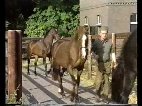 Remember Priamos - Lombard - Alpenkönig