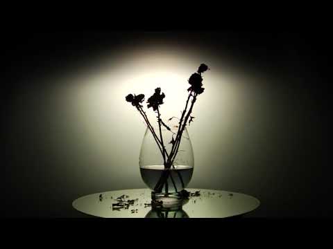 OneRepublic - Apologize(Official Video HD)