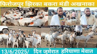 फिरोजपुर झिरका बकरा मंडी /13/6/2025/ हरियाणा मेवात गोट फार्मिंग वीडियो के लिए संपर्क करें 9671369795