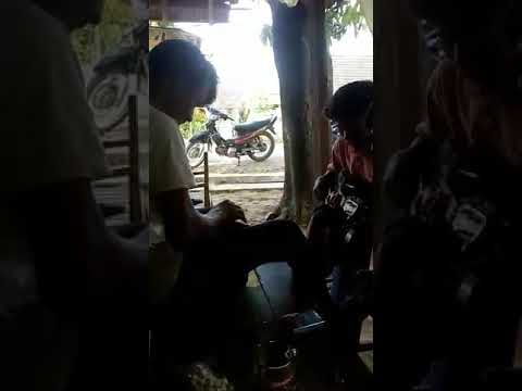 Masih bersama cak met alias cak po,,,,masuk pak eko di jamin goyang sendiri oaoe