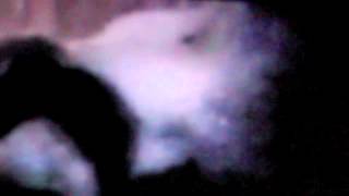 InterLace Twins (PREMIUM FANTASY)