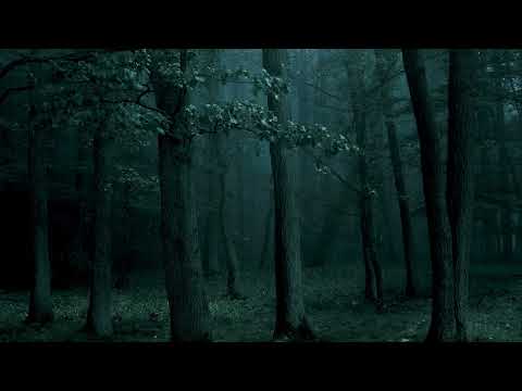 a twilight comfort playlist (pt.4)