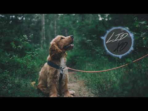 Jealous Friend - Who's Gonna Love You (feat. Jesse Zagata)