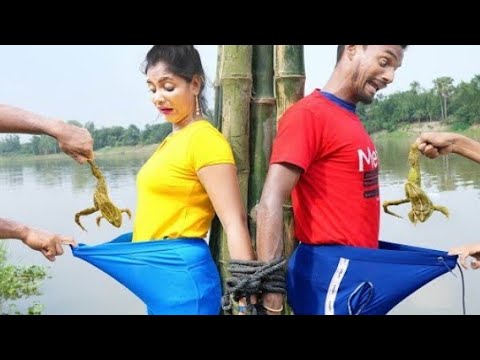 Fried Frogs Delicious - Cooking Skills - Eating Fried Frogs - Roasted Frogs BBQ - Big Frogs Fried