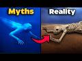 7 mythical creatures that really EXISTED! Part 6 DEFAULT Thumbnail