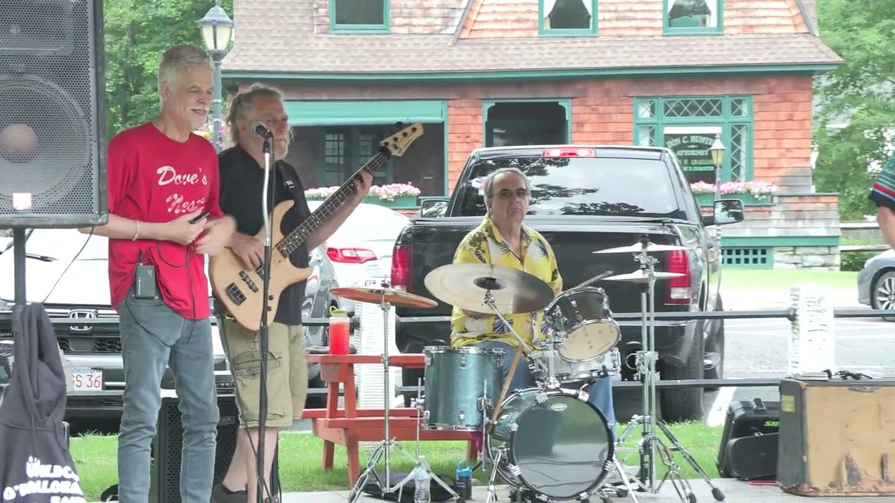 Promotional video thumbnail 1 for The Wildcat O'Halloran Band