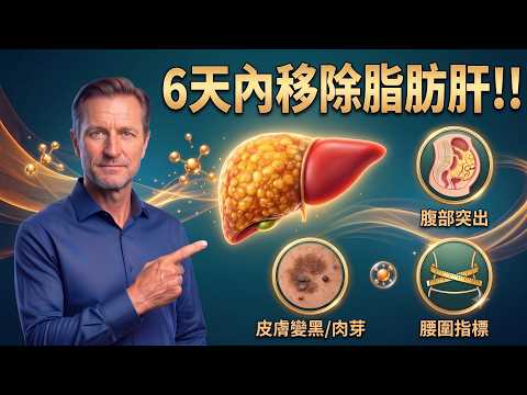 📉 6天逆轉脂肪肝？告別大肚腩的4種科學自然療法 | 柏格醫生 Dr. Berg