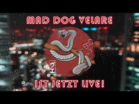 Silent Hill ƒ (NG++) Livestream vom 12.10.2025