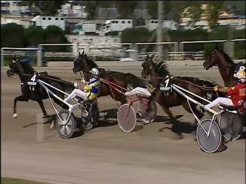 Trotto 19/10/2019 - 1ª corsa