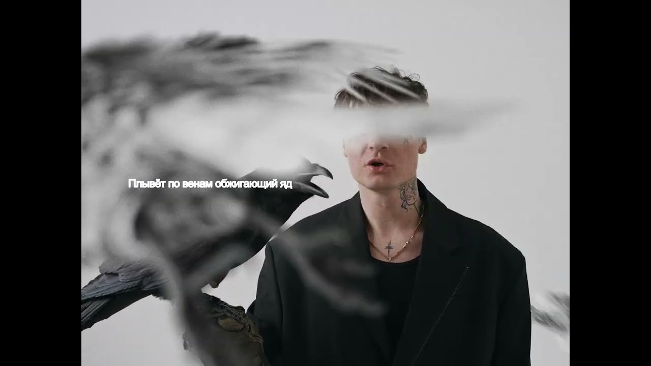 МУККА — Вороны (Lyric Video)