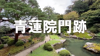 【青蓮院門跡】皇族・摂関家が歴代門主（住職）を務めた格式の高い寺院（2025年10月12日）