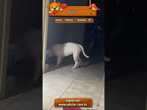 Vídeo de lupita